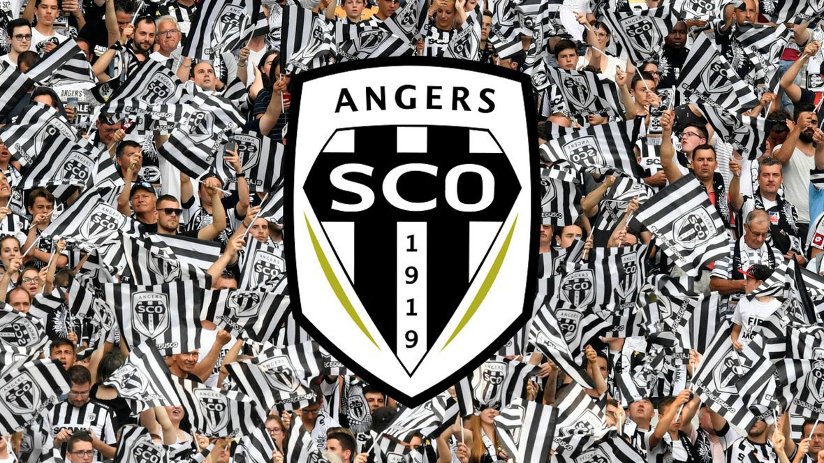 sco d'angers